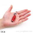 LED keychain light with button cells keychain flashlight